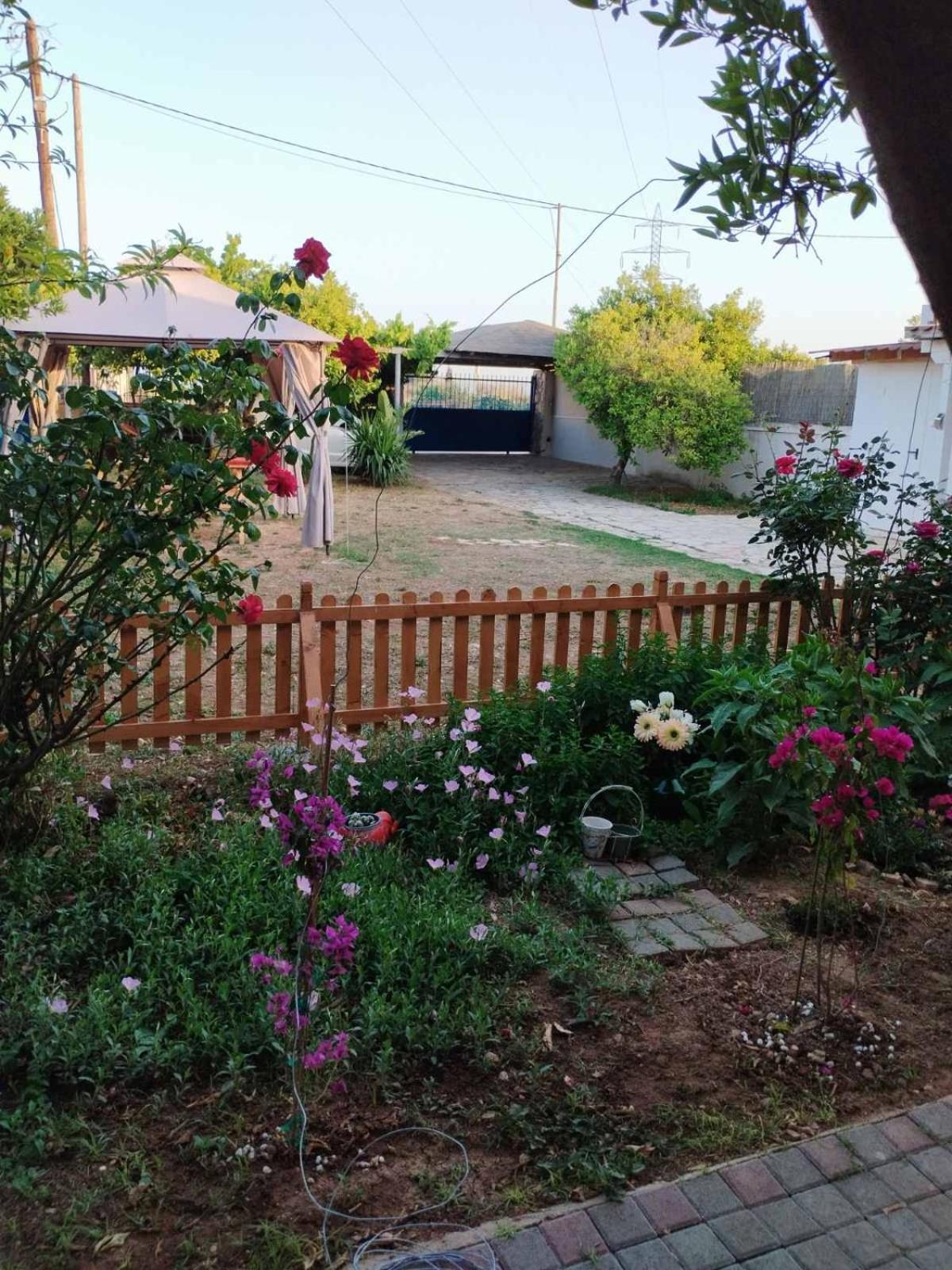 Floras House Lejlighed Nafplio Eksteriør billede